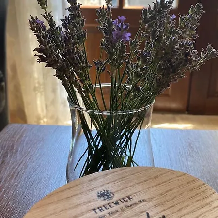 Domainerossignol Lavande Couette-café Gourdon